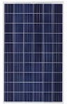 EnergyPal Bereket Enerji Solar Panels Poly 60 250-275W A-MU270
