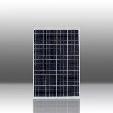 EnergyPal For Leaves Solar Panels Poly 95-100 FL100P