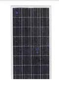 EnergyPal Ripusheng Suny Holding  Solar Panels RPS60-36P-1 RPS60-36P-1