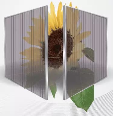 EnergyPal Qiangsheng Solar Panels Semi-transparent 50W Semi-transparent 50W