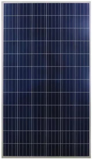 EnergyPal Solartron Public  Solar Panels SP300W-325W SP315