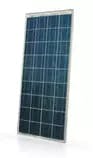 EnergyPal Think Green Solutions Solar Panels THINK-130 poly THINK-130 poly