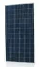 EnergyPal Think Green Solutions Solar Panels THINK-240 poly THINK-240 poly