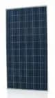 EnergyPal Think Green Solutions Solar Panels THINK-280 poly THINK-280 poly